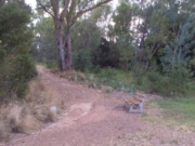 Bushranger Bay Dog Friendly Bushranger Bay Dog Friendly