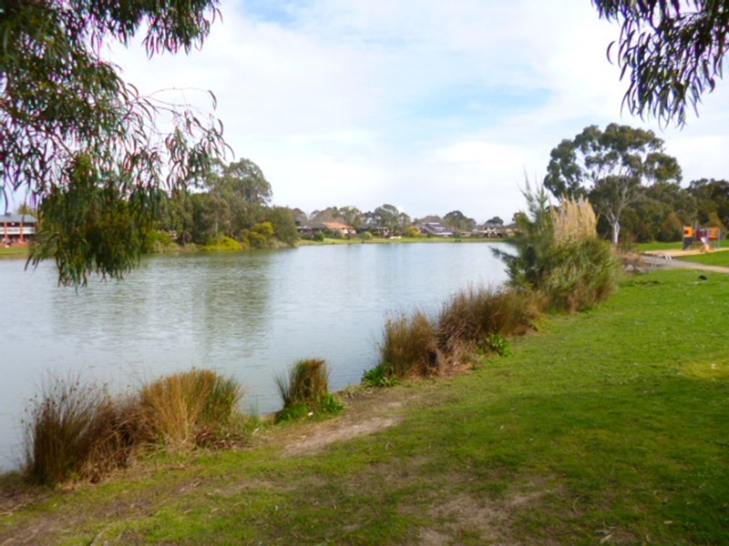 Rowville Lakes Walk Walking Maps