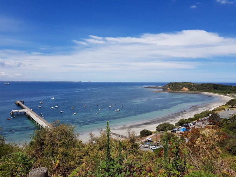flinders beach