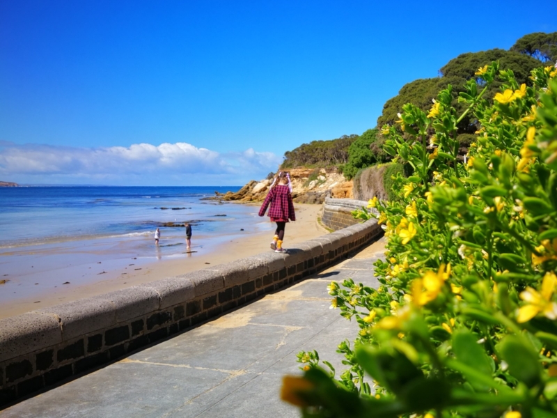 Point Lonsdale to Queenscliff beach walk Walking Maps