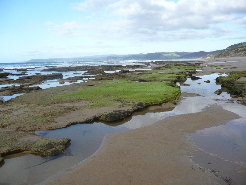 Fairhaven to Aireys Inlet Walk Walking Maps